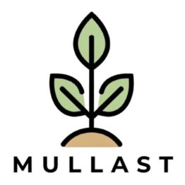 Mullast